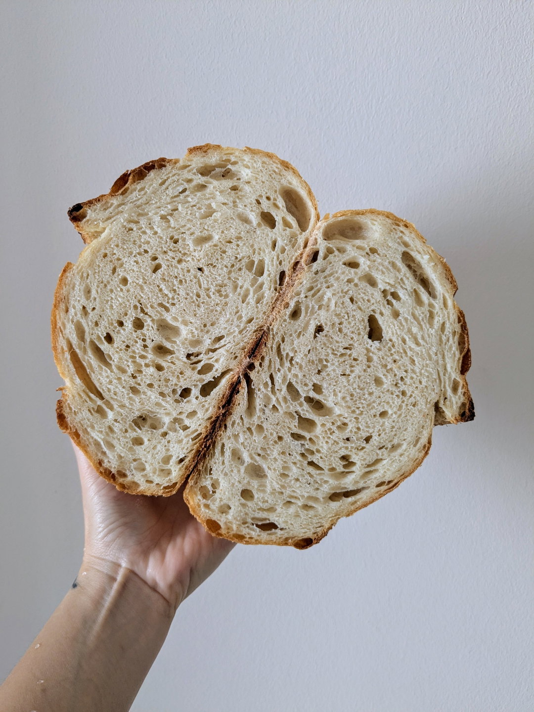Sourdough Loaf (Large)