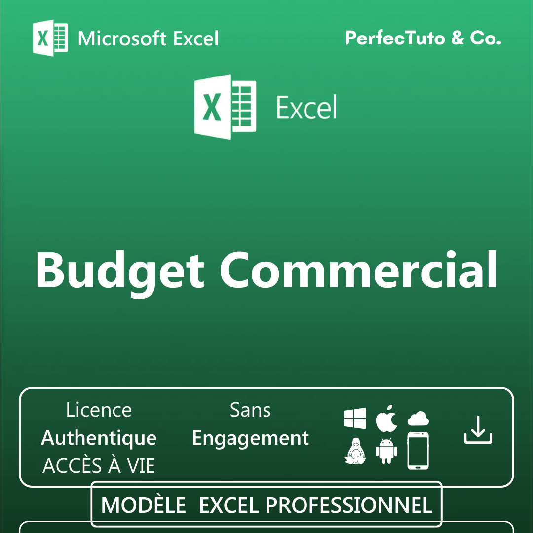 Budget Commercial_1