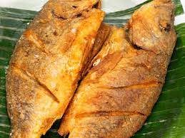 fish