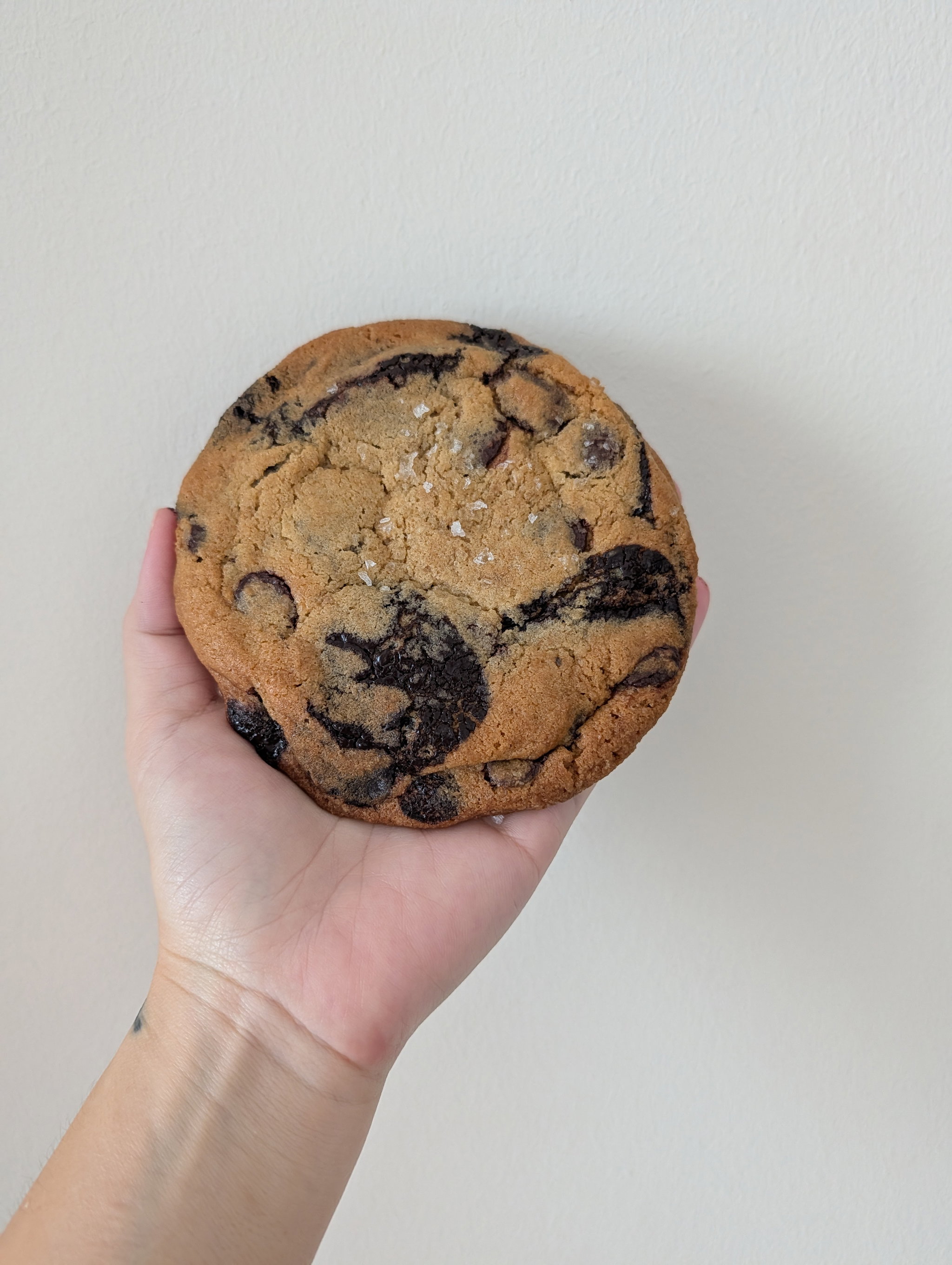 Chocolate Chip Cookie_0