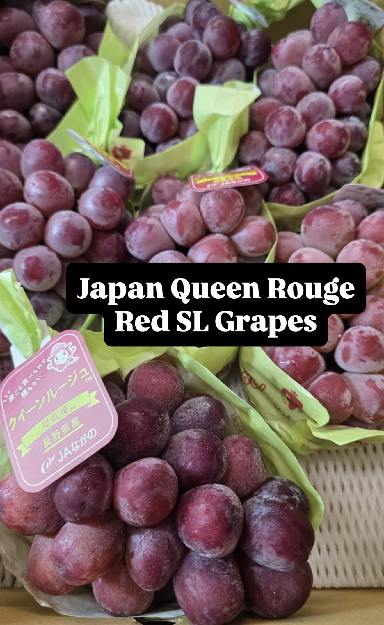 JPN NAGANO QUEEN ROUGE SL GRAPES_0