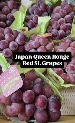JPN NAGANO QUEEN ROUGE SL GRAPES