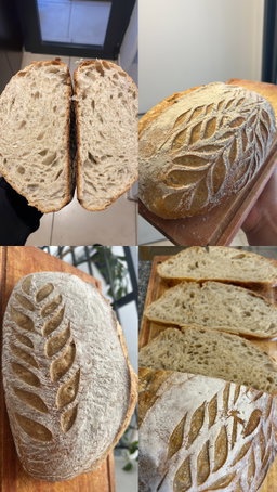 Sourdough Bread 