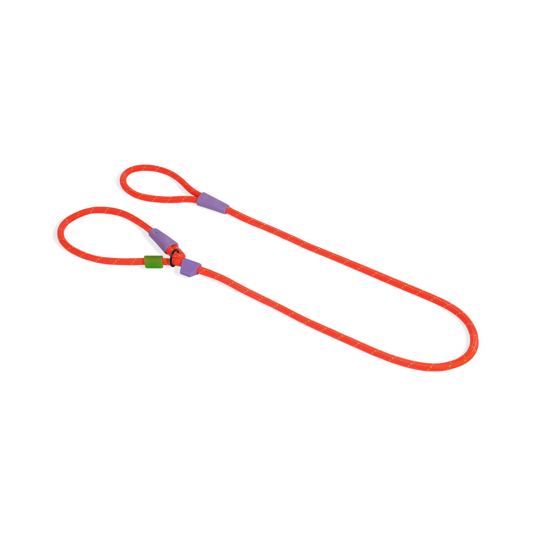ZeeDog Everest Slip N' Lock Leash