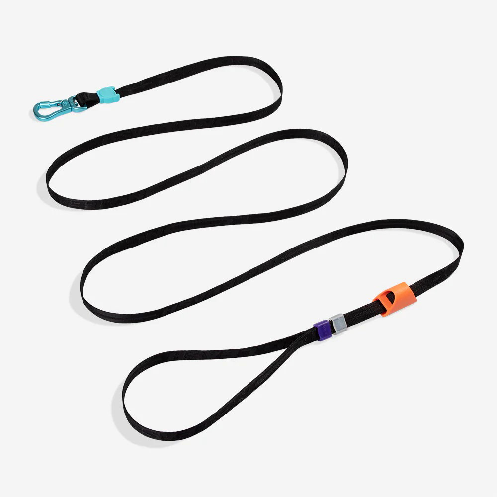 ZeeDog Segundo Long Leash_0