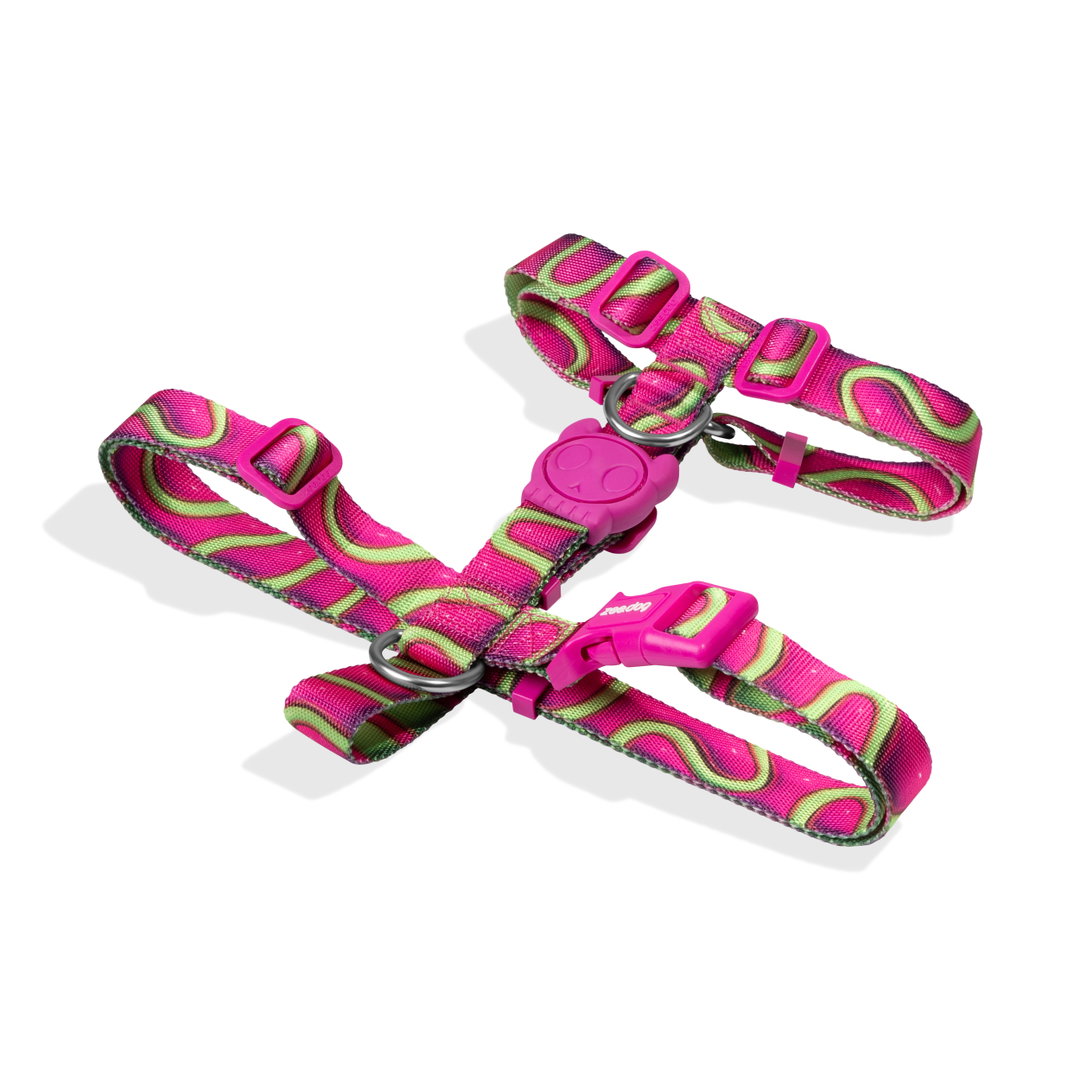 ZeeDog H3D Jelly H Harness