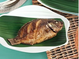 Pritong Tilapia