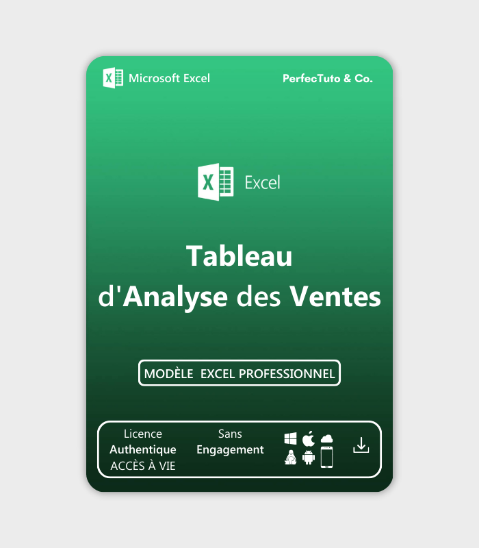 Tableau d'Analyse des Ventes_2
