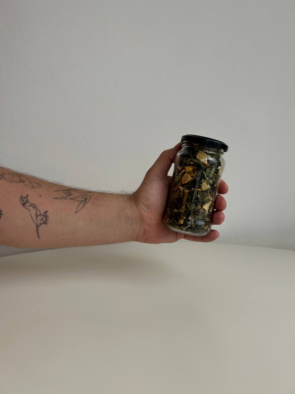 Патагонская утка-пароход / Pato vapor volador_1