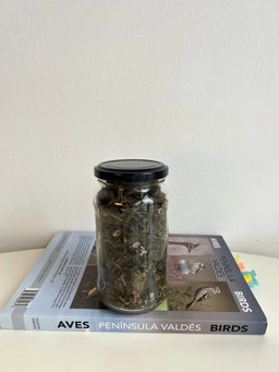 Патагонский зерноед / Jilguero austral