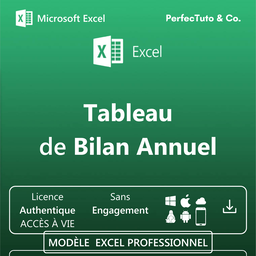 Bilan Annuel