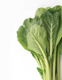 Mustard Greens Superfood 1.5 lb / Mostaza Verde Superalimento 1.5 lb_0
