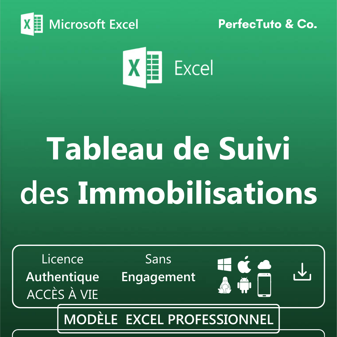 Tableau des immobilisations_1