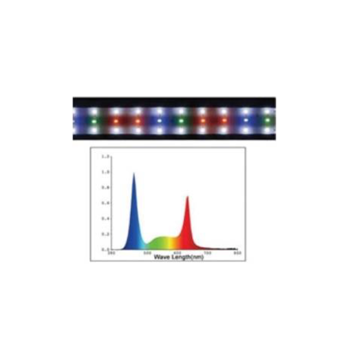 DOPHIN LED_2