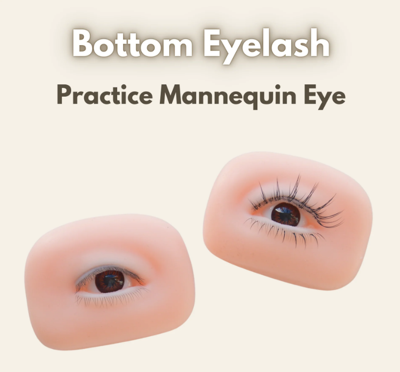 EYE FOR EYELASH TRAINING
