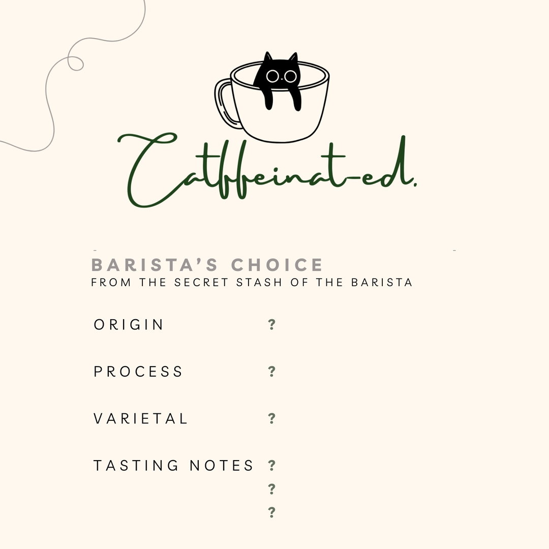 Barista's Choice