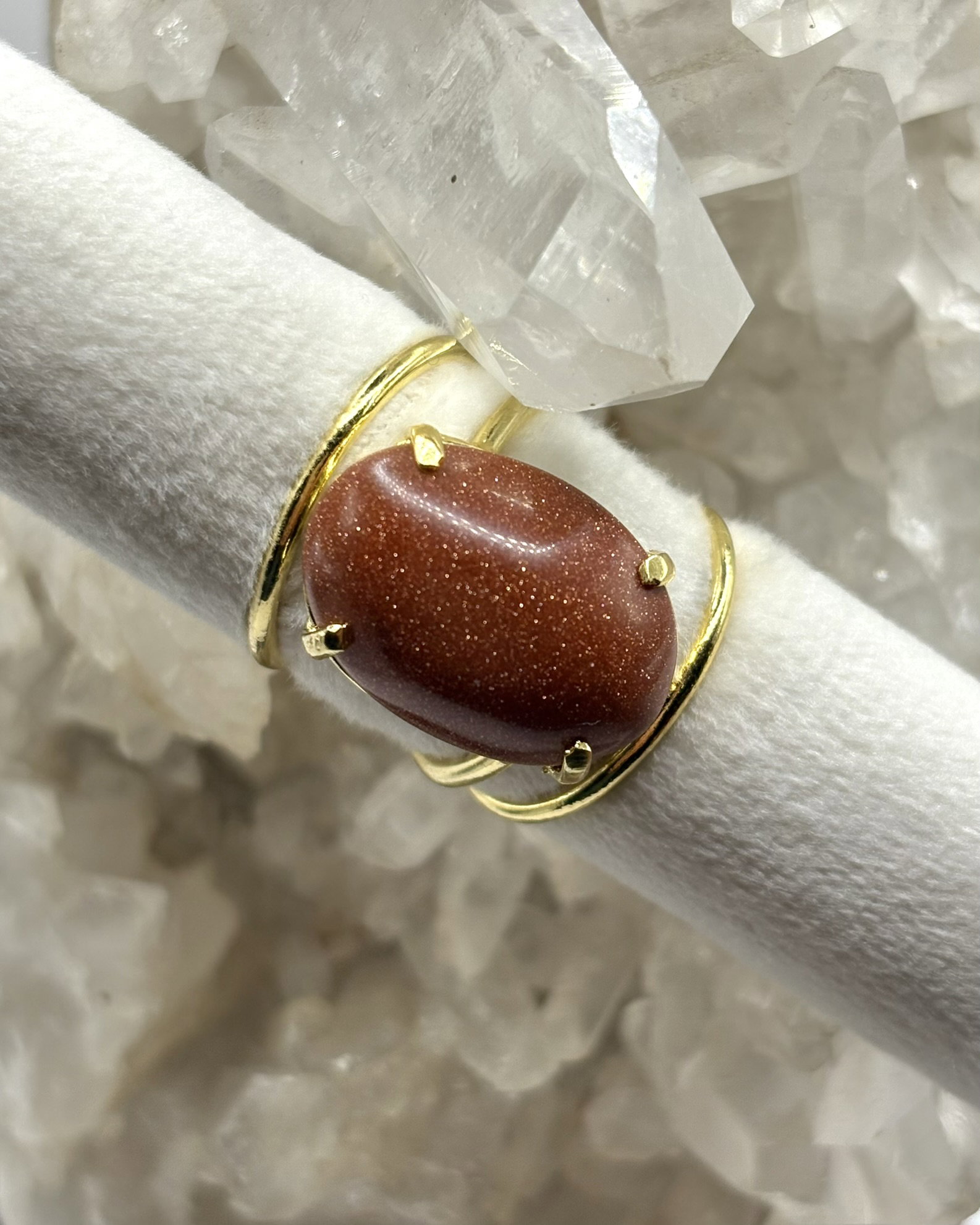 Anillo Leonia_2