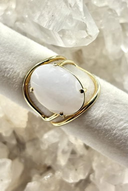 Anillo Leonia