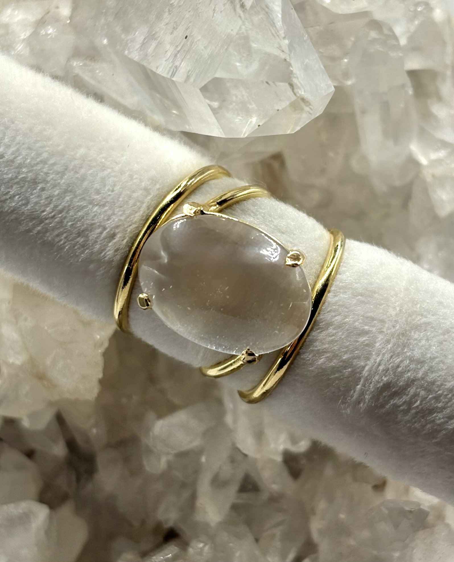 Anillo Leonia_4