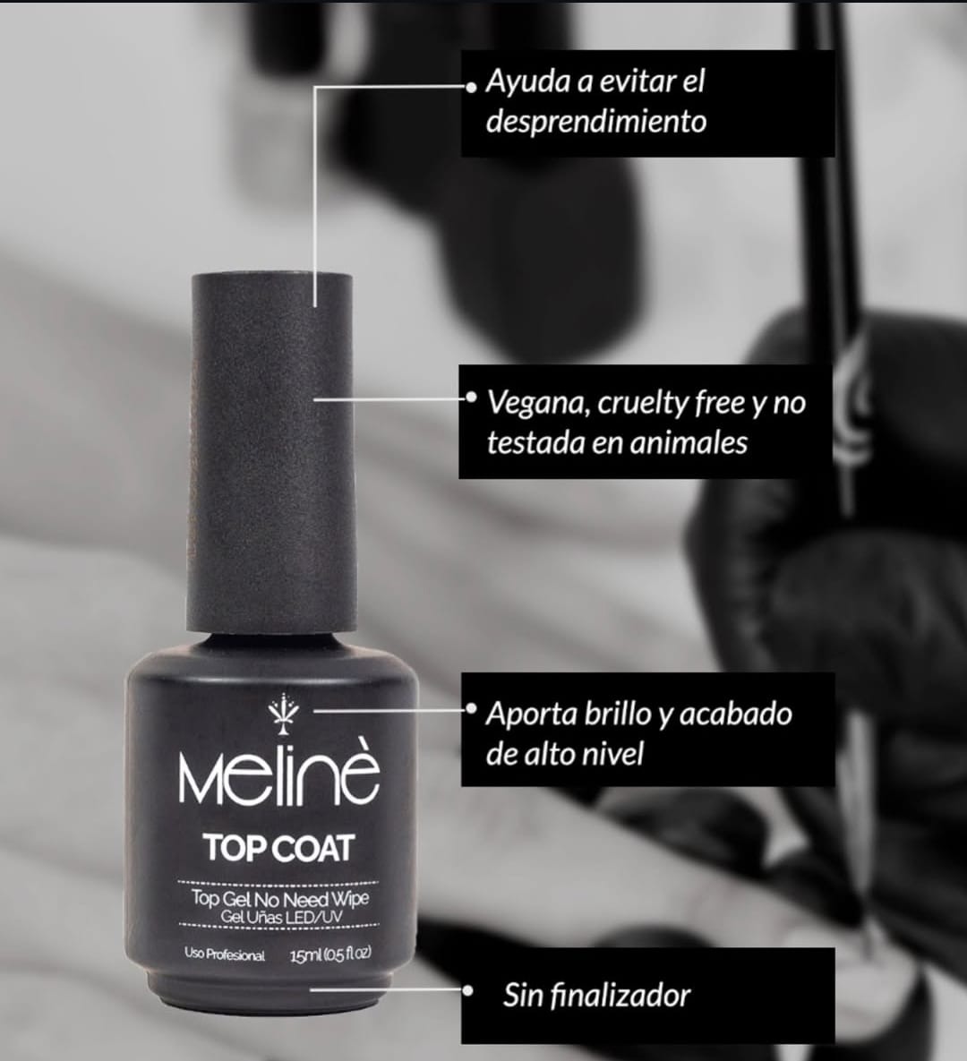 Top Coat Meliné_0