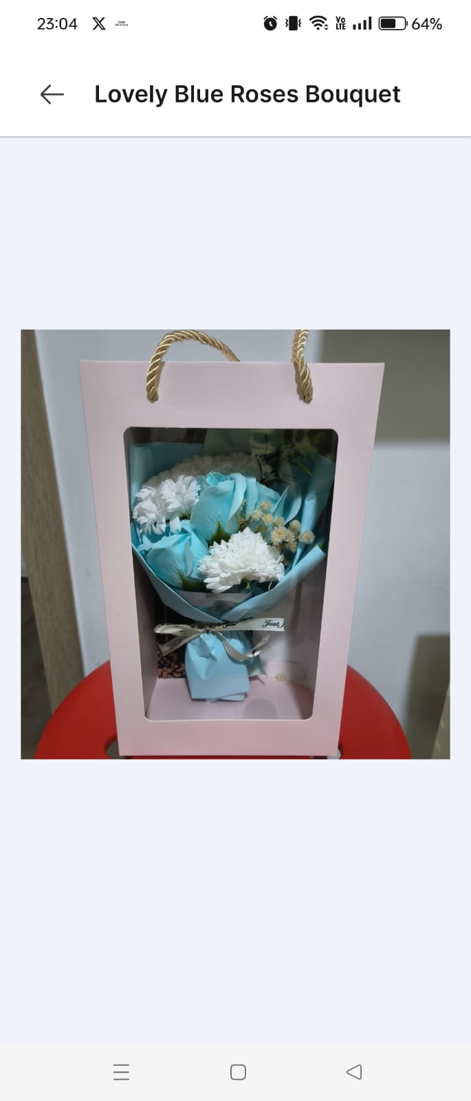 Lovely Blue Bouquet_0
