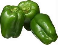 Capsicum _0