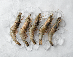 Fresh Tiger Prawns (1 kg)
