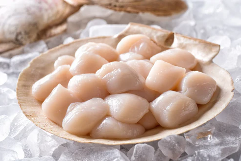 Premium Japanese Scallops (500g)_0
