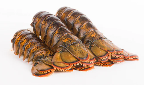 Fresh Lobster Tail (Per Piece)