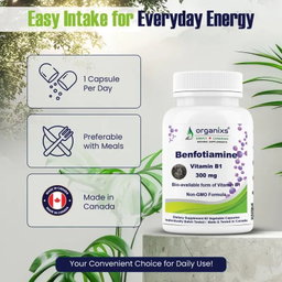 ORGANIXS VITAMIN B1 BENFOTIAMINE 300mg