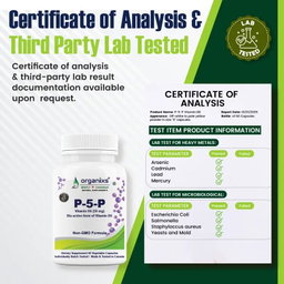 ORGANIXS VITAMIN  B6 P-5-P (Pyridoxal-5-Phosphate)