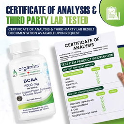 ORGANIXS BCAA 3000mg