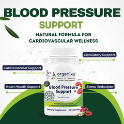 ORGANIXS BLOOD PRESSURE SUPPORT
