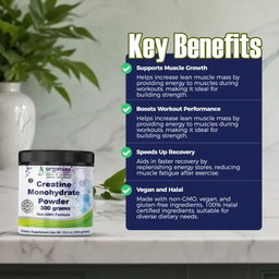 ORGANIXS CREATINE MONOHYDRATE POWDER 300g