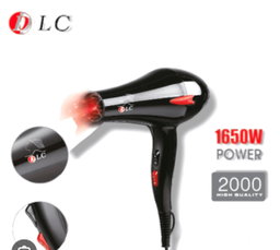 DLC Hair Dryer-HS-494