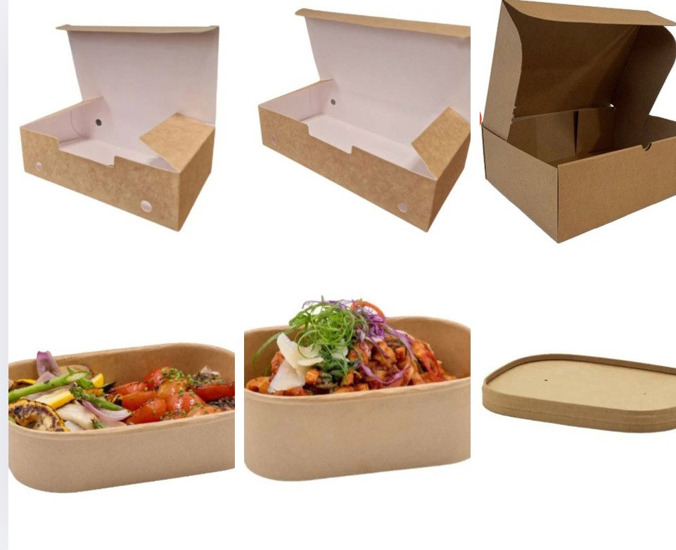 ENVASE RECTANGULAR PARA FRITOS Y TERRINA RECTANGULAR 