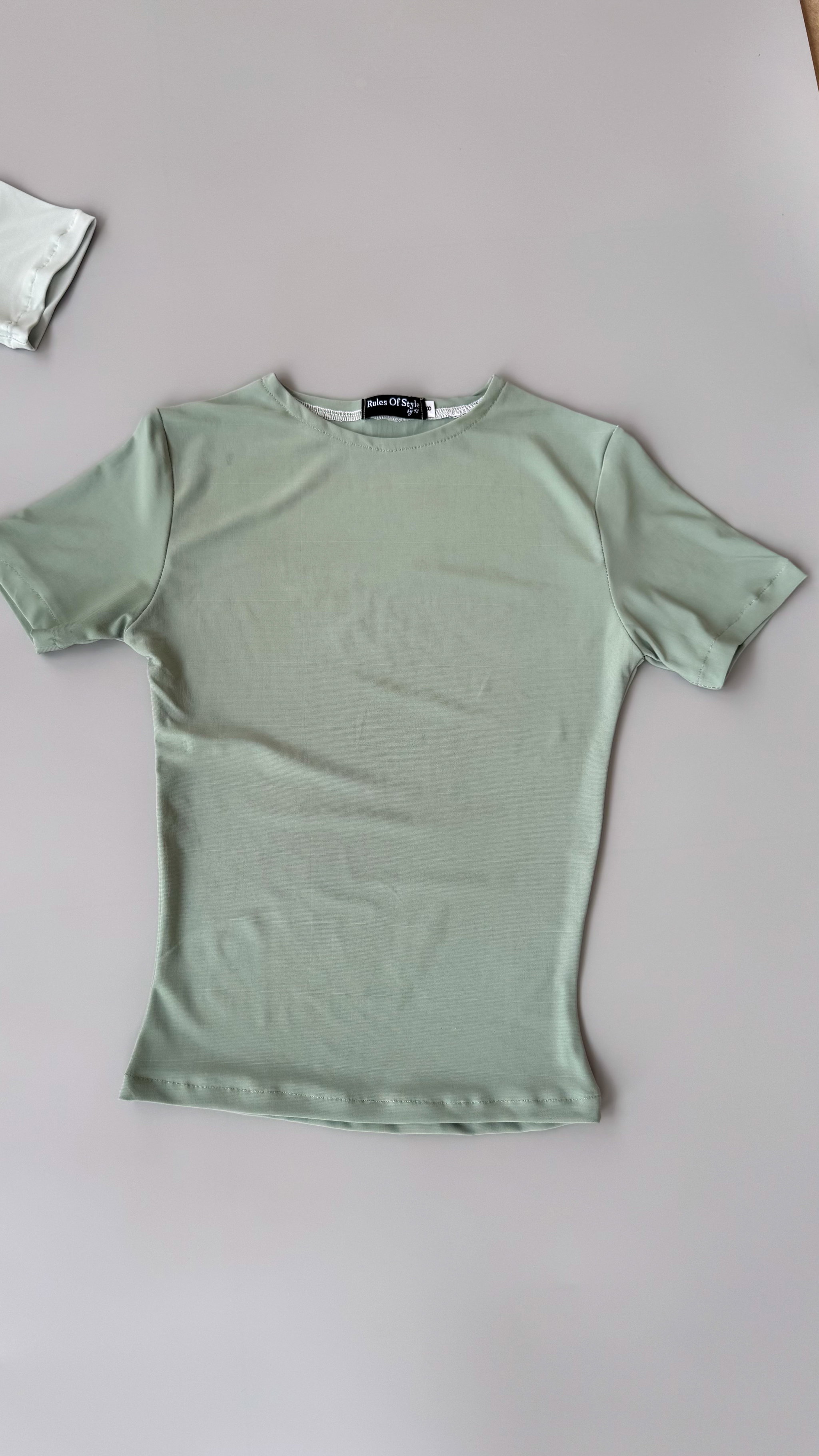 Hailey Fitted T-shirt _16