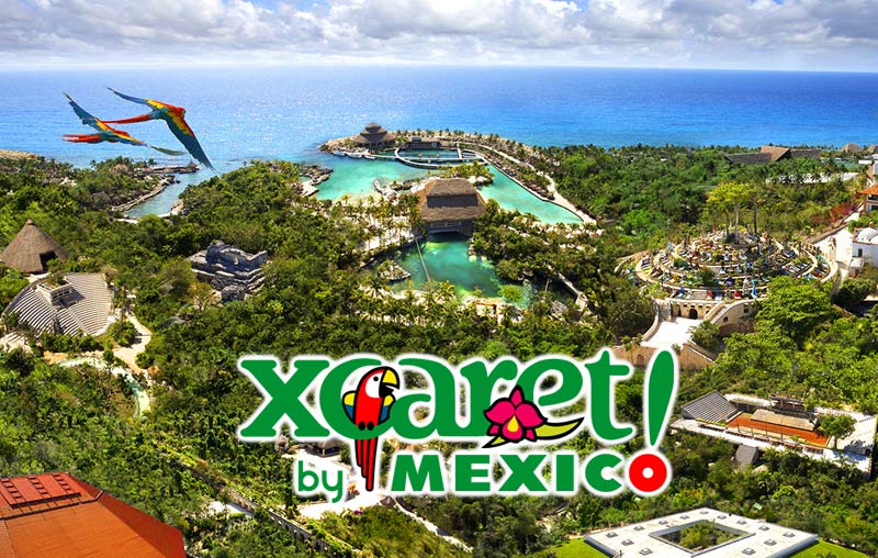 XCARET PLUS 