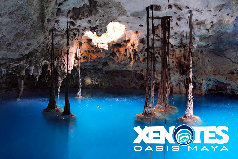 XENOTES
