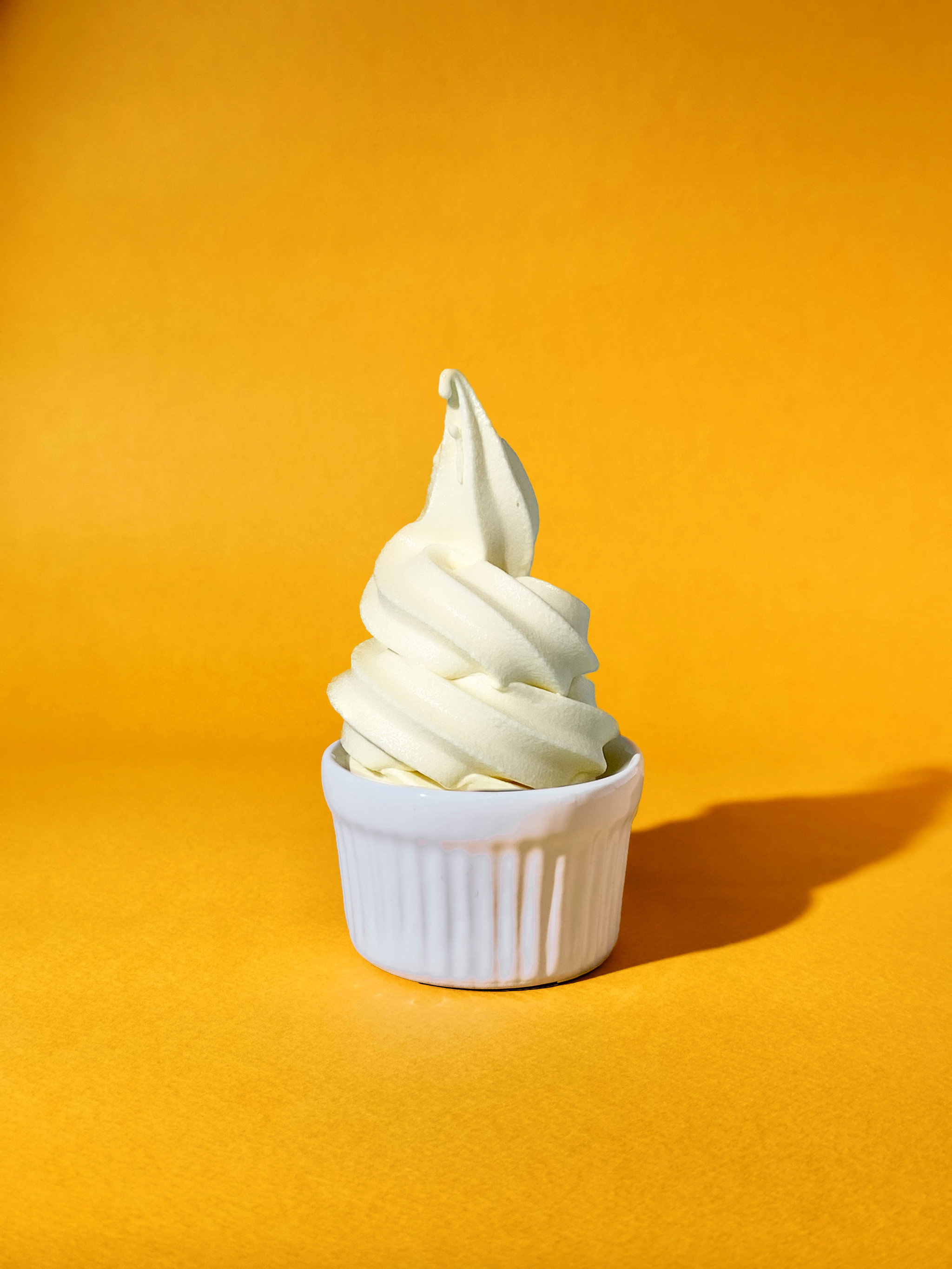 Yogurt Ice Cream Small_0