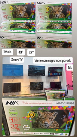 Televisión
