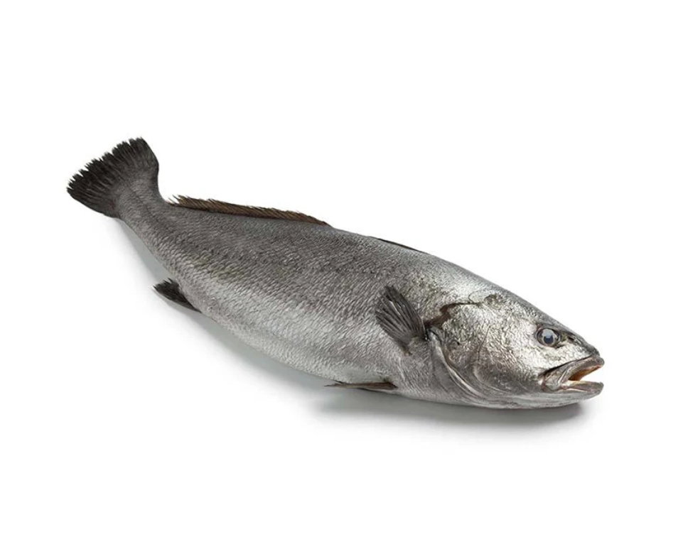Ombrine