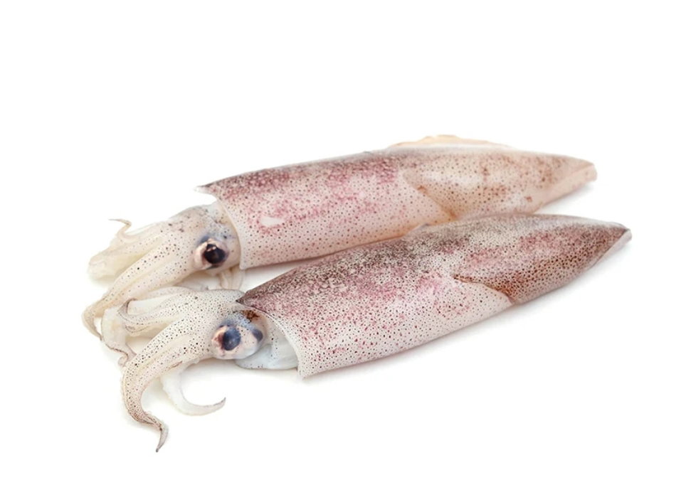 Calamars _0