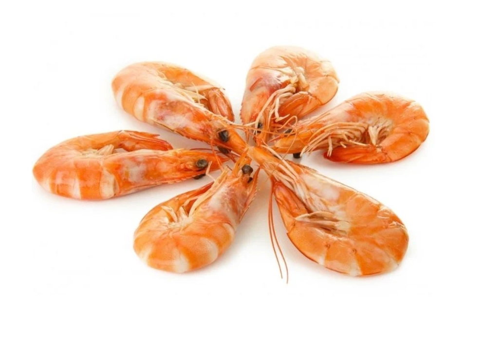 Crevettes roses