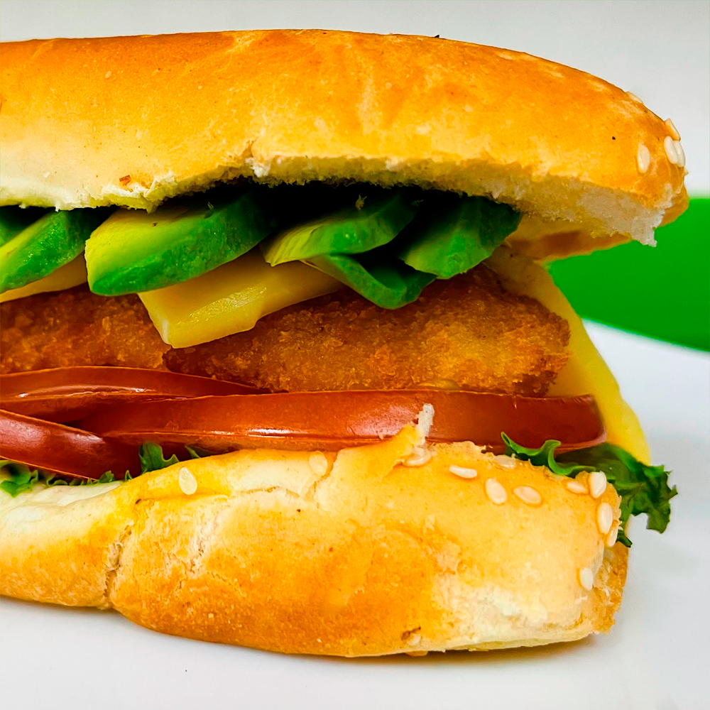 PANINIS_0