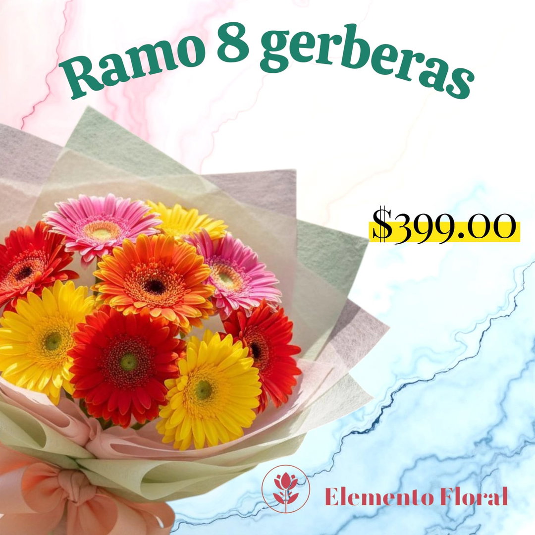 RAMO DE 8 GERBERAS