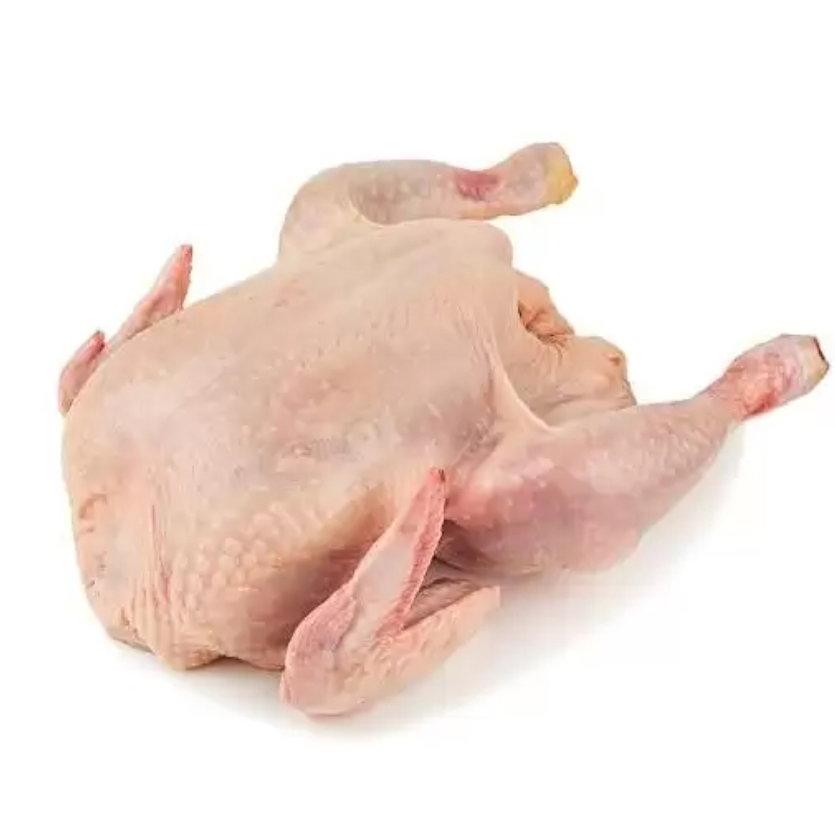 Coquelet