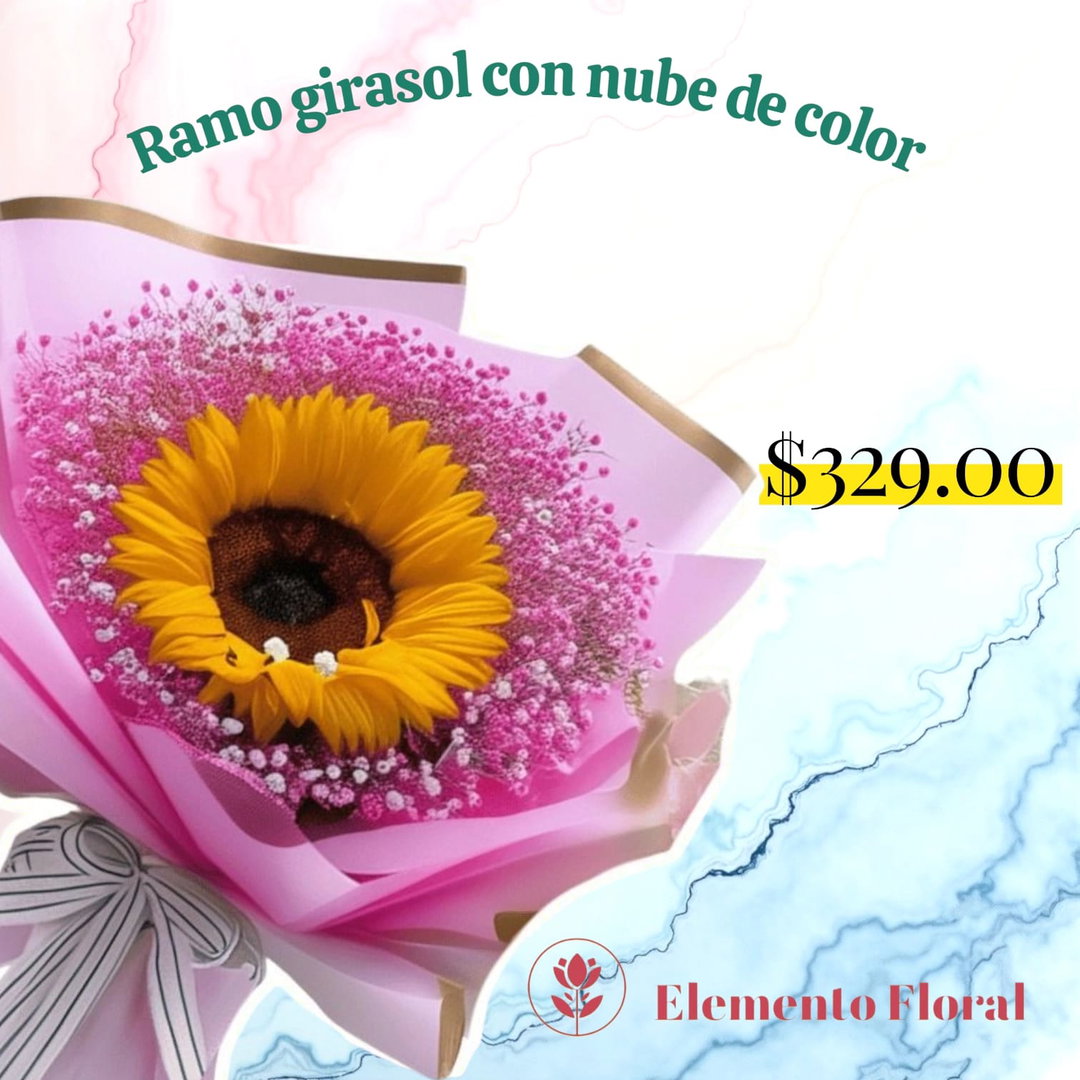 UN GIRASOL Y NUBE DE COLOR