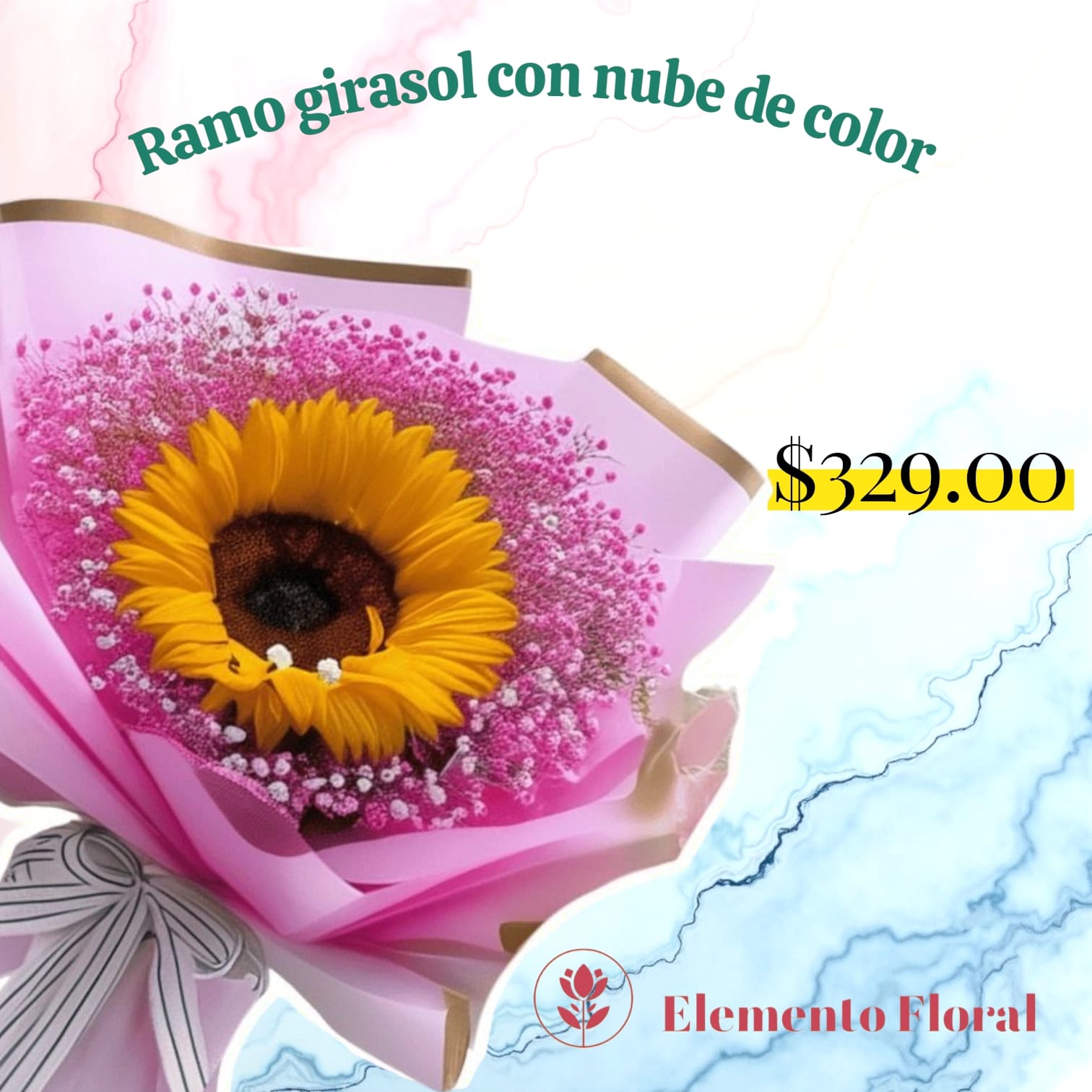 UN GIRASOL Y NUBE DE COLOR_0