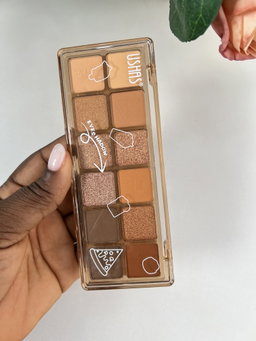 Mini palette nude ushas 